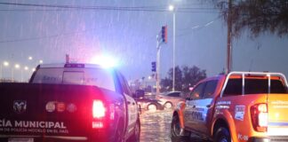 Dejaron lluvias 50 vehículos varados, 15 árboles caídos y afectaciones en postes, bardas y domicilios