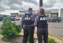 Mantiene FDZNO trabajos de búsqueda para localizar a menor de edad ausente en NCG