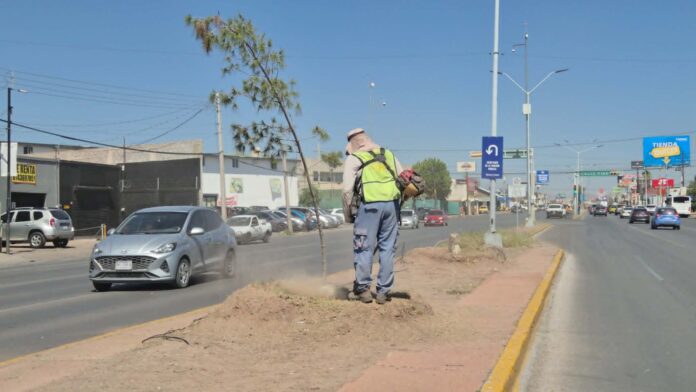 permanente vialidades