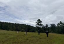 Realiza FGE Occidente rastreo de búsqueda en ranchería de Guerrero