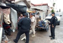 Resguarda Gobierno Municipal a tres cachorros por presunto maltrato animal