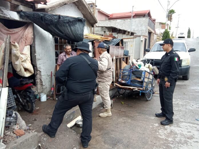 resguardados perros