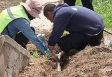 Avanza Municipio con rehabilitación del sistema de riego del parque Santa María