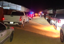 Rescata FDZS a seis canes en situación de maltrato en el ejido Maclovio Herrera