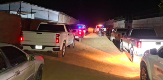 Rescata FDZS a seis canes en situación de maltrato en el ejido Maclovio Herrera