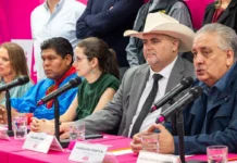 Ordena INE al partido Somos volver a cambiar de emblema