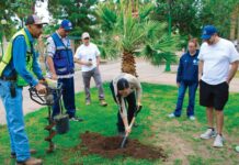 Refuerza Gobierno Municipal áreas verdes del Parque Lerdo con 108 nuevos árboles