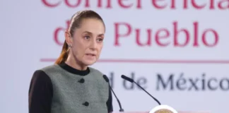 Sheinbaum: Guadalupe Taddei traicionó la confianza del pueblo de México