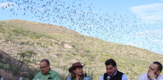 Congreso del Estado sesiona en Santa Eulalia por el Día del Murciélago