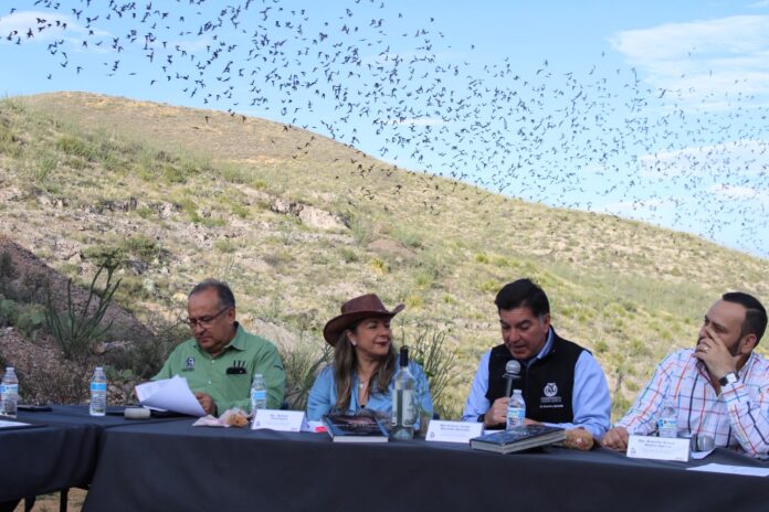 congreso murcielago