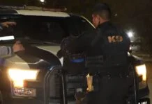 Aumentó Policía Municipal 68% las detenciones por narcomenudeo de enero a septiembre de 2026