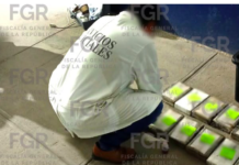 Inicia FGR investigación por aseguramiento de 93 paquetes con cocaína en Cuauhtémoc