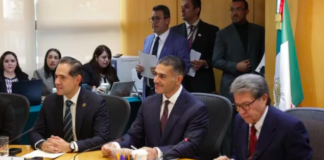 García Harfuch destaca ante diputados los avances de la Estrategia Nacional de Seguridad