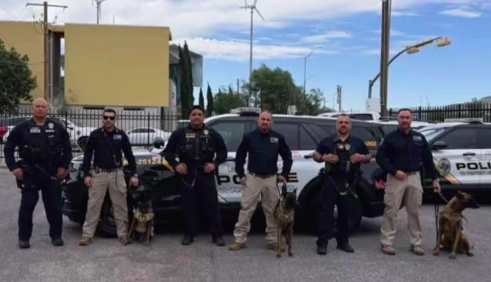 k9 destaca