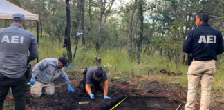 Localiza FDZO fragmentos óseos con alteración térmica en La Norteña