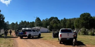 Asegura FDZO dos vehículos incendiados tras reporte de enfrentamiento en comunidad de Madera
