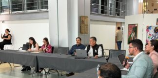 Avanza en Congreso tercera Mesa Técnica para garantizar la capacidad jurídica de las personas con discapacidad.