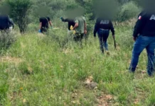 Localiza FDZS restos óseos durante rastreo en el antiguo camino a Minas Nuevas