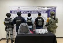 Aseguran más de cinco kilos de fentanilo en la colonia Misiones de Creel