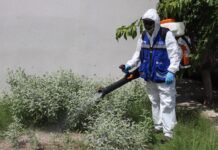Para prevenir la rickettsia, llevará Municipio brigadas de Patio de Mi Casa a cuatro colonias