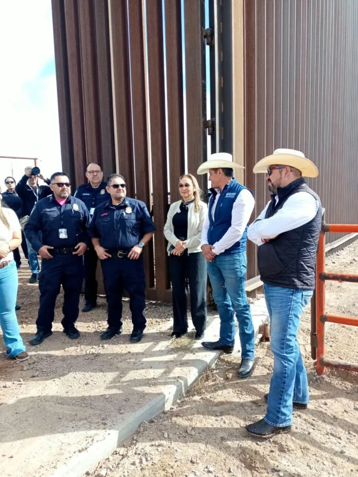 reanudan exportacion de ganado