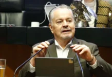¿Qué futuro tienen los jóvenes si no tienen certeza de que su voto será respetado?: Mario Vázquez